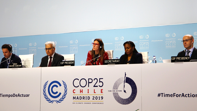 COP25 Plenary Day 13