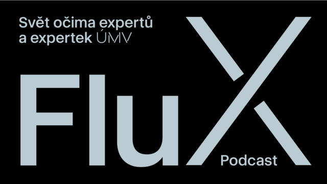 FluX web.png
