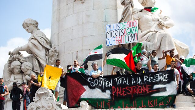 Palestine demo France.JPG